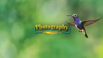 Bird Photography – Capture Birds Like Never Before (mobile header with a hummingbird in flight).