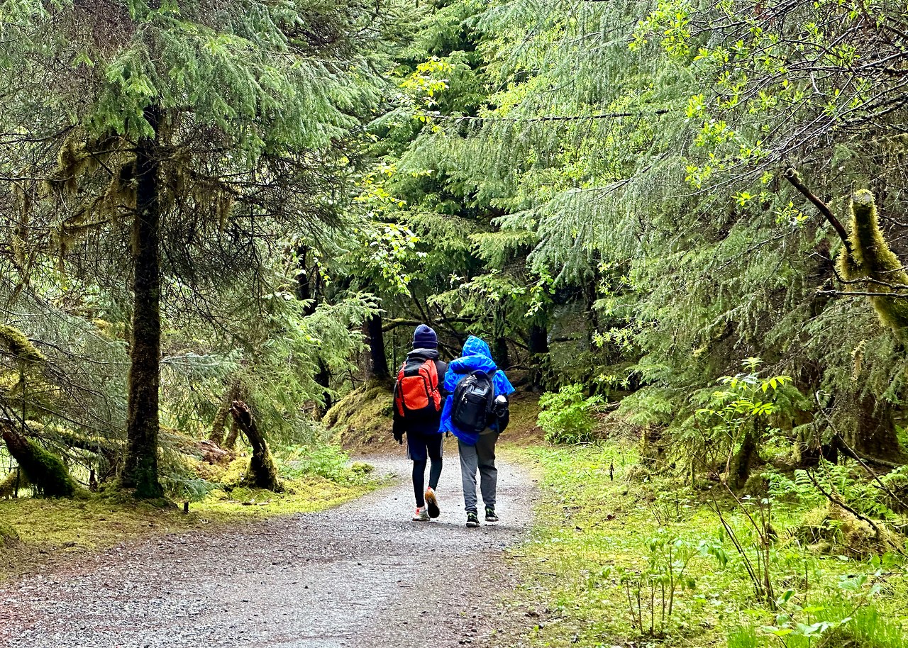 Two children walking along a forest trail with backpacks, exploring nature together