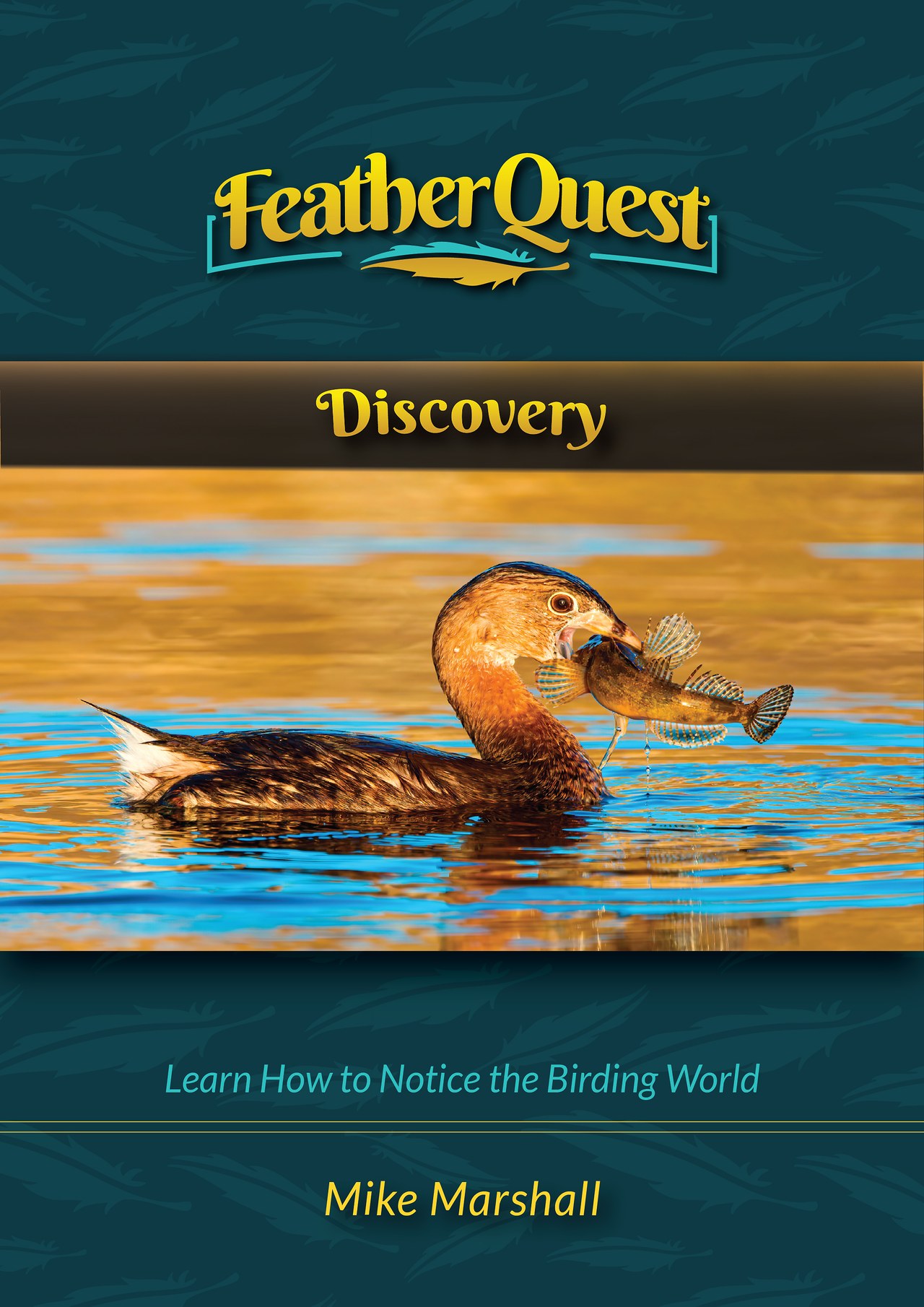 FeatherQuest Discovery book cover showing a duck carrying a fish