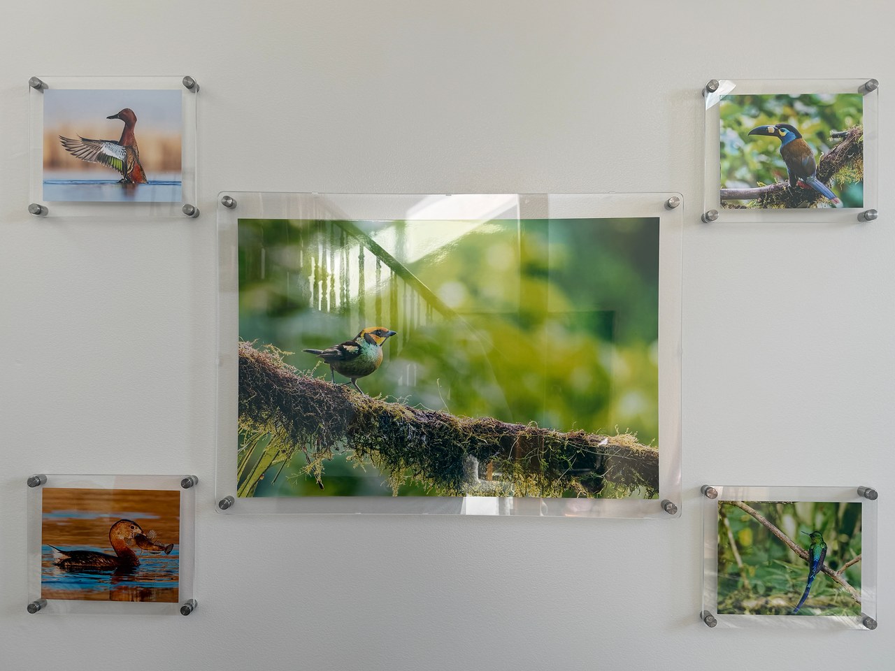 In-progress installation of floating acrylic photo frames with anchors and standoffs