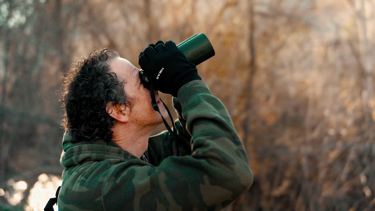 Birder using binoculars to scan treetops in a wooded area during golden hour