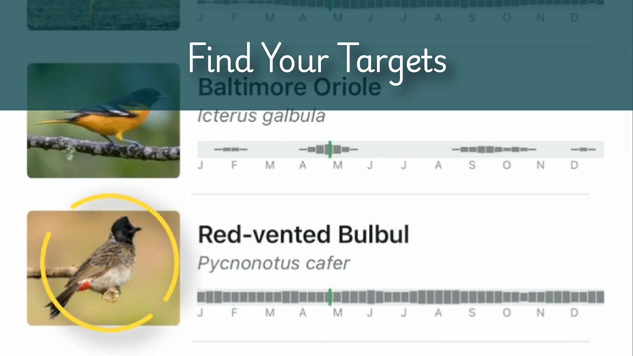 Merlin Bird ID app showing likely birds and seasonal charts