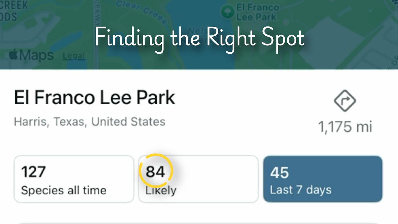 eBird map showing birding hotspots and recent sightings