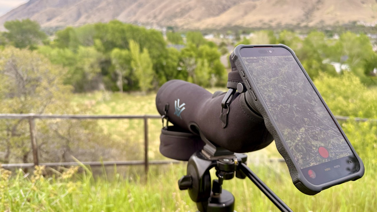 iPhone mounted to a spotting scope eyepiece during a real backyard birding setup