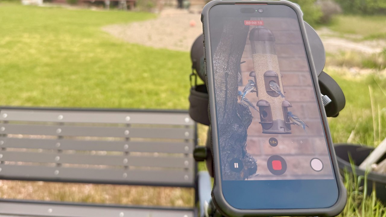 iPhone mounted to a spotting scope recording video of birds at a backyard feeder