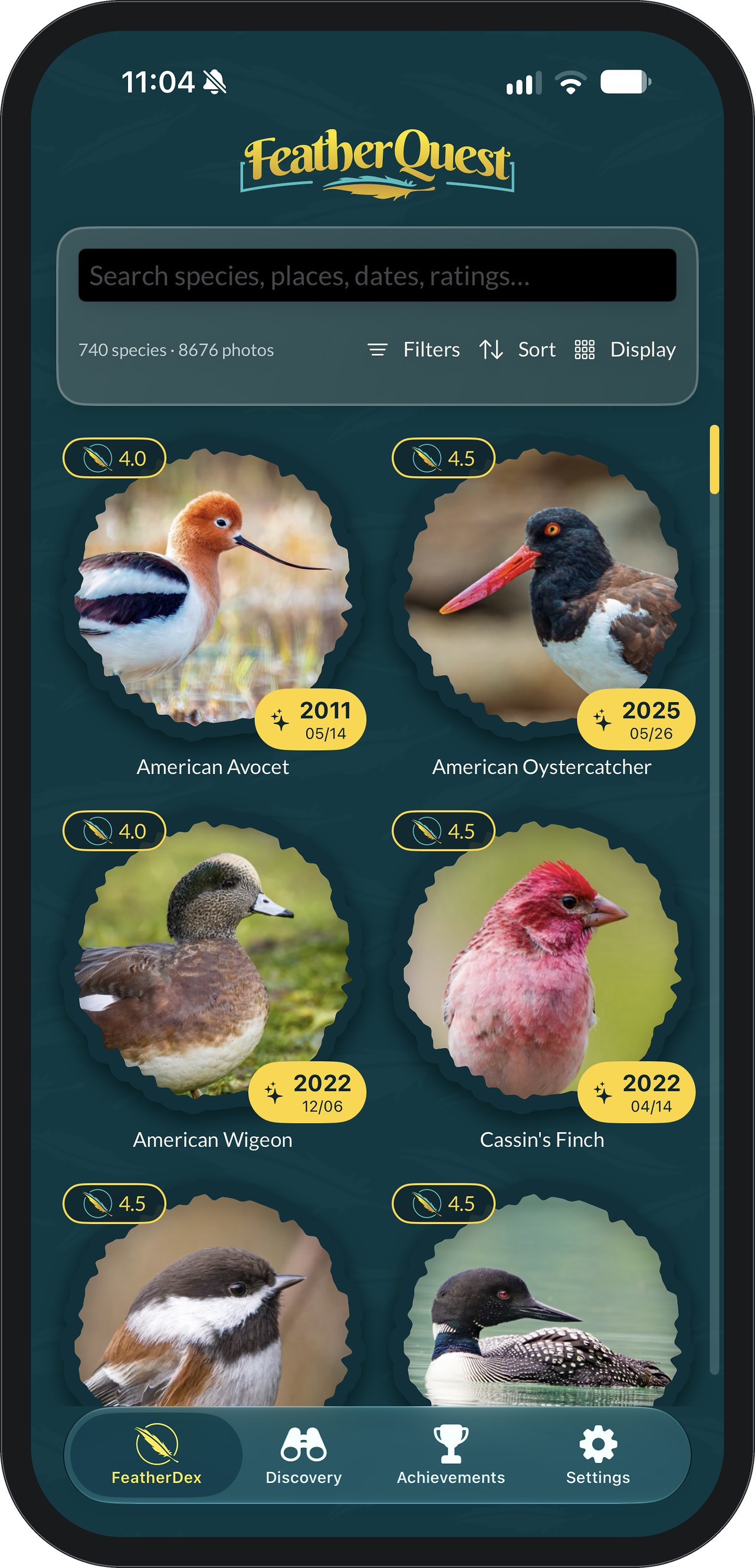 FeatherDex collection screen in badge view: a search bar reading Search species, places, dates, ratings, with Filters, Sort and Display buttons, above round species badges for American Avocet, American Oystercatcher, American Wigeon and Cassin’s Finch. Each badge has a gold FQ Rating pill such as 4.0 or 4.5 and a yellow date pill such as 2011 05/14