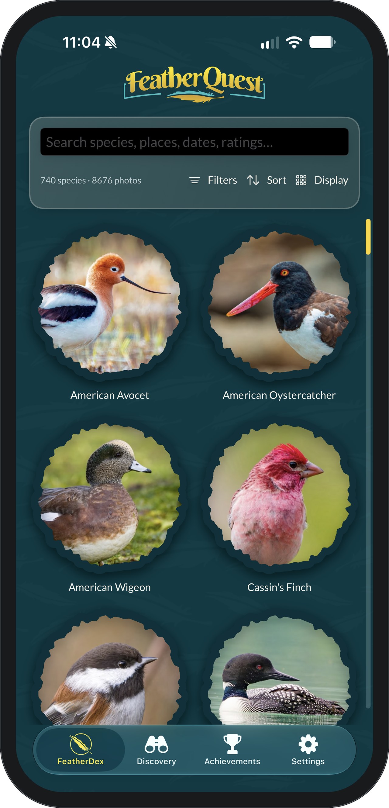 FeatherDex collection in badge view: round scalloped badges for American Avocet, American Oystercatcher, American Wigeon, Cassin’s Finch, a chickadee and a Common Loon