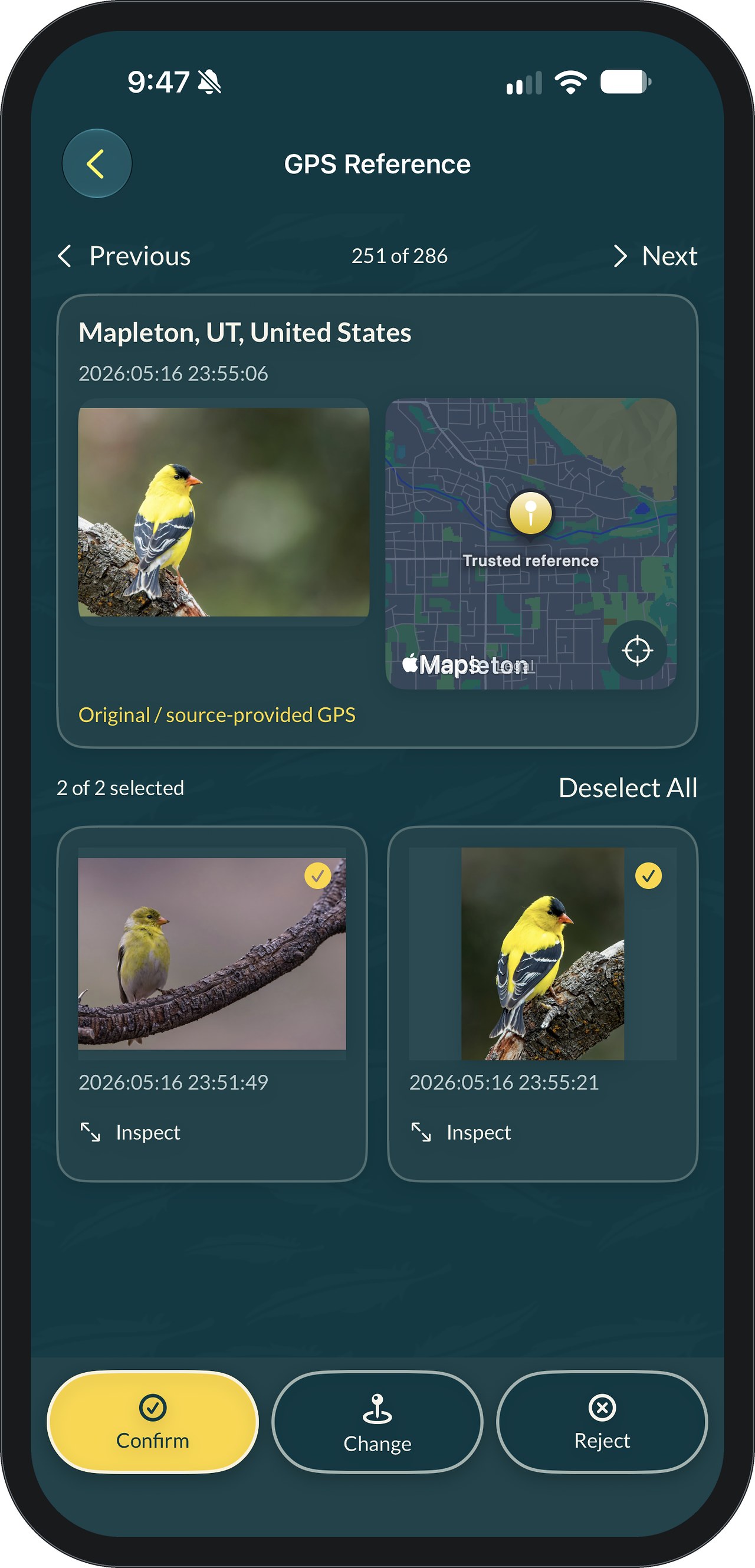 FeatherDex GPS Reference screen: a trusted reference photo of an American Goldfinch with its original GPS location, Mapleton, UT, shown on a map pin labeled Trusted reference, above two selected goldfinch photos from the same evening and Confirm, Change and Reject buttons