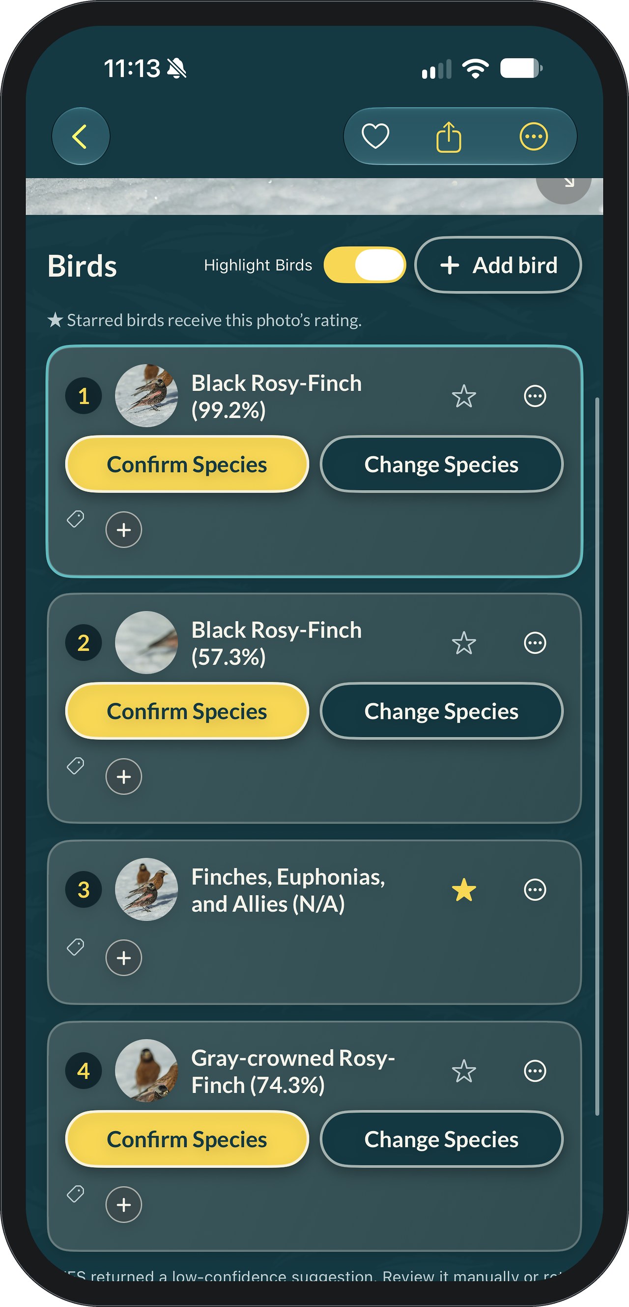 FeatherDex Birds list for a photo of rosy-finches: four numbered bird cards with suggestions such as Black Rosy-Finch at 99.2 percent and Gray-crowned Rosy-Finch at 74.3 percent, one card set to the family Finches, Euphonias, and Allies with a gold star, and Highlight Birds and Add bird controls