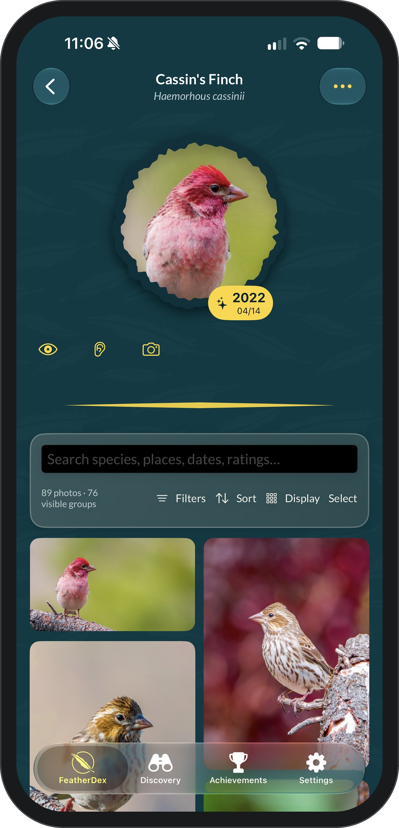 FeatherDex Cassin’s Finch species page with a badge of a rosy-red male dated 2022 04/14, seen, heard and photographed icons, and a photo grid that includes streaky brown females