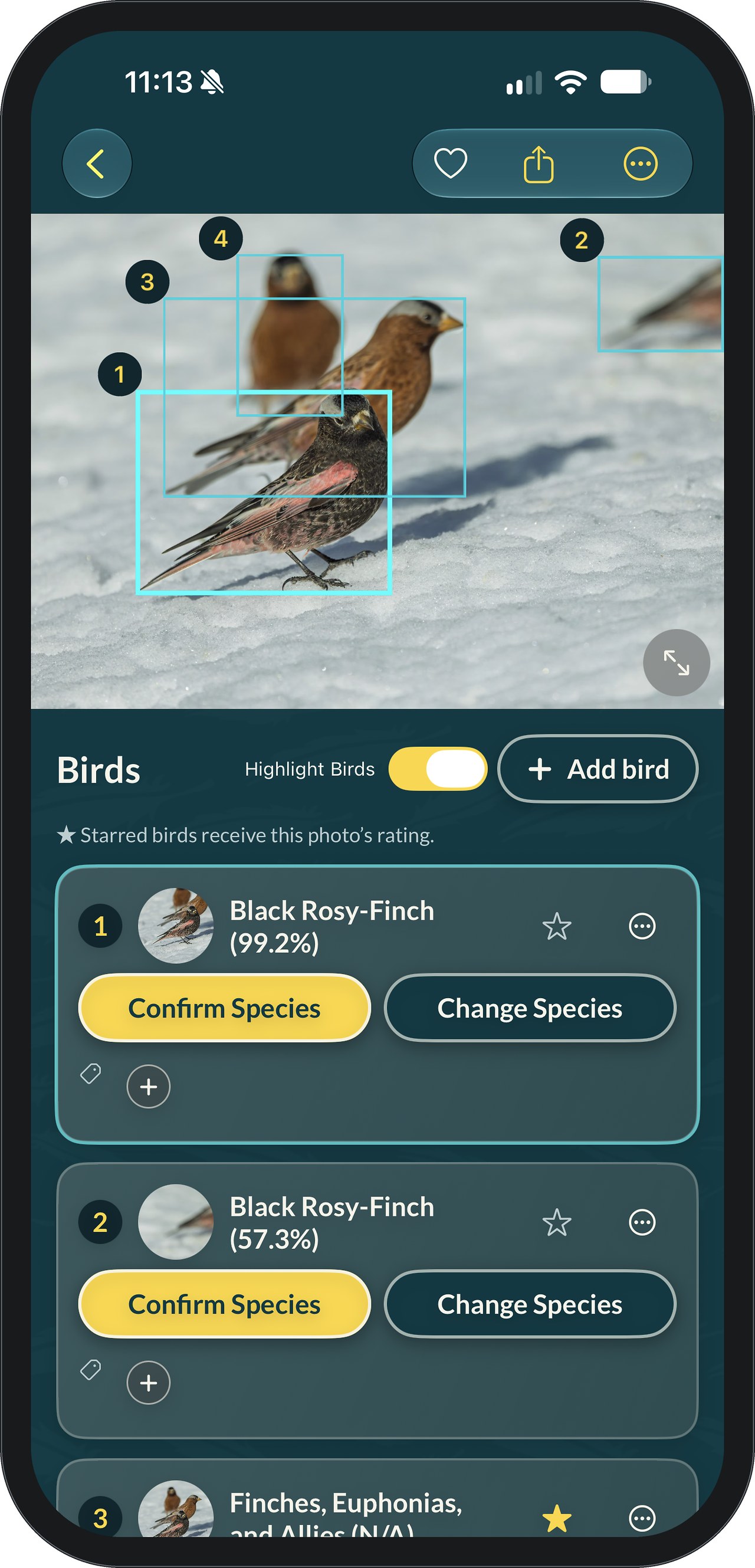 A FeatherDex photo of rosy-finches on snow, with four numbered boxes drawn around the birds. Below, a Birds list shows bird 1 as Black Rosy-Finch at 99.2 percent and bird 2 as Black Rosy-Finch at 57.3 percent, each with Confirm Species and Change Species buttons