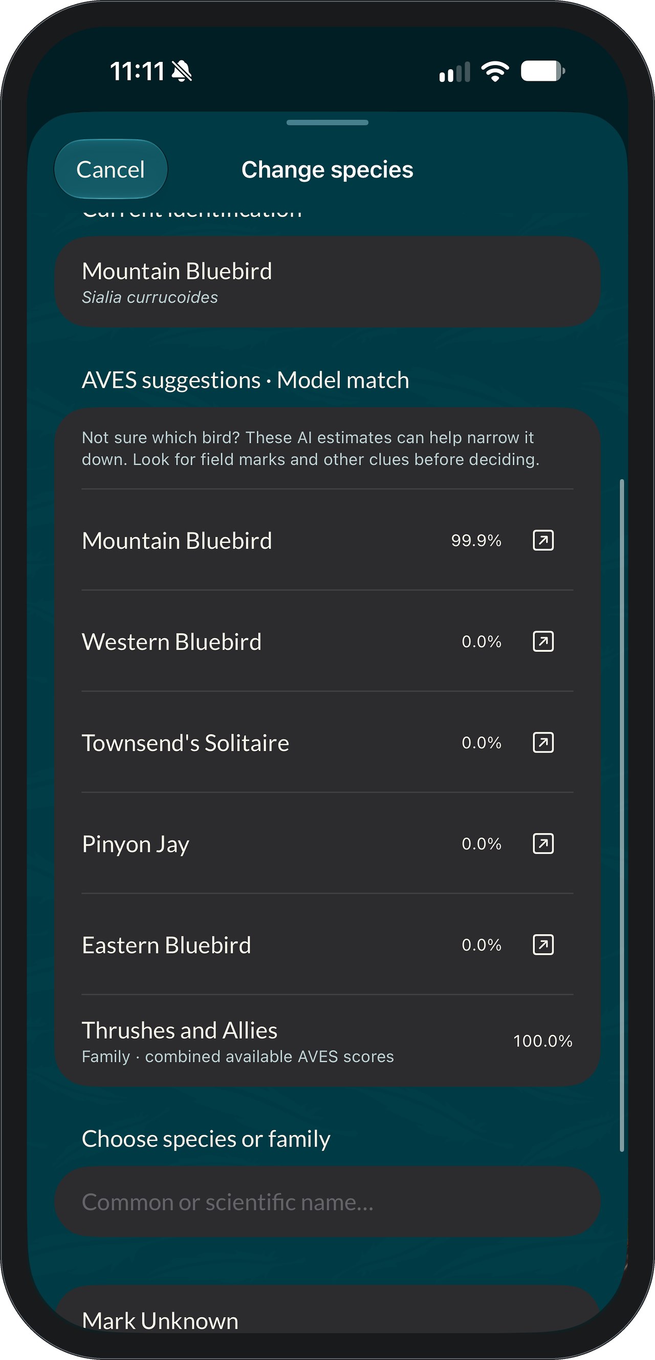 FeatherDex Change Species sheet for a Mountain Bluebird, listing AVES suggestions with percentages: Mountain Bluebird 99.9 percent, then Western Bluebird, Townsend’s Solitaire, Pinyon Jay and Eastern Bluebird, plus a combined family score for Thrushes and Allies, a species search field and a Mark Unknown option