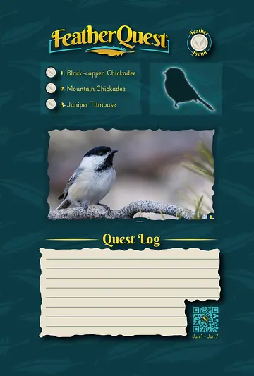 Checklist & Quest log example from FeatherQuest Utah: Season One for tracking bird sightings