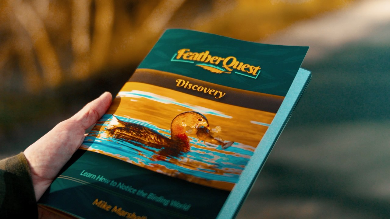 FeatherQuest Discovery book held outdoors showing the cover with a Pied-billed Grebe catching a fish