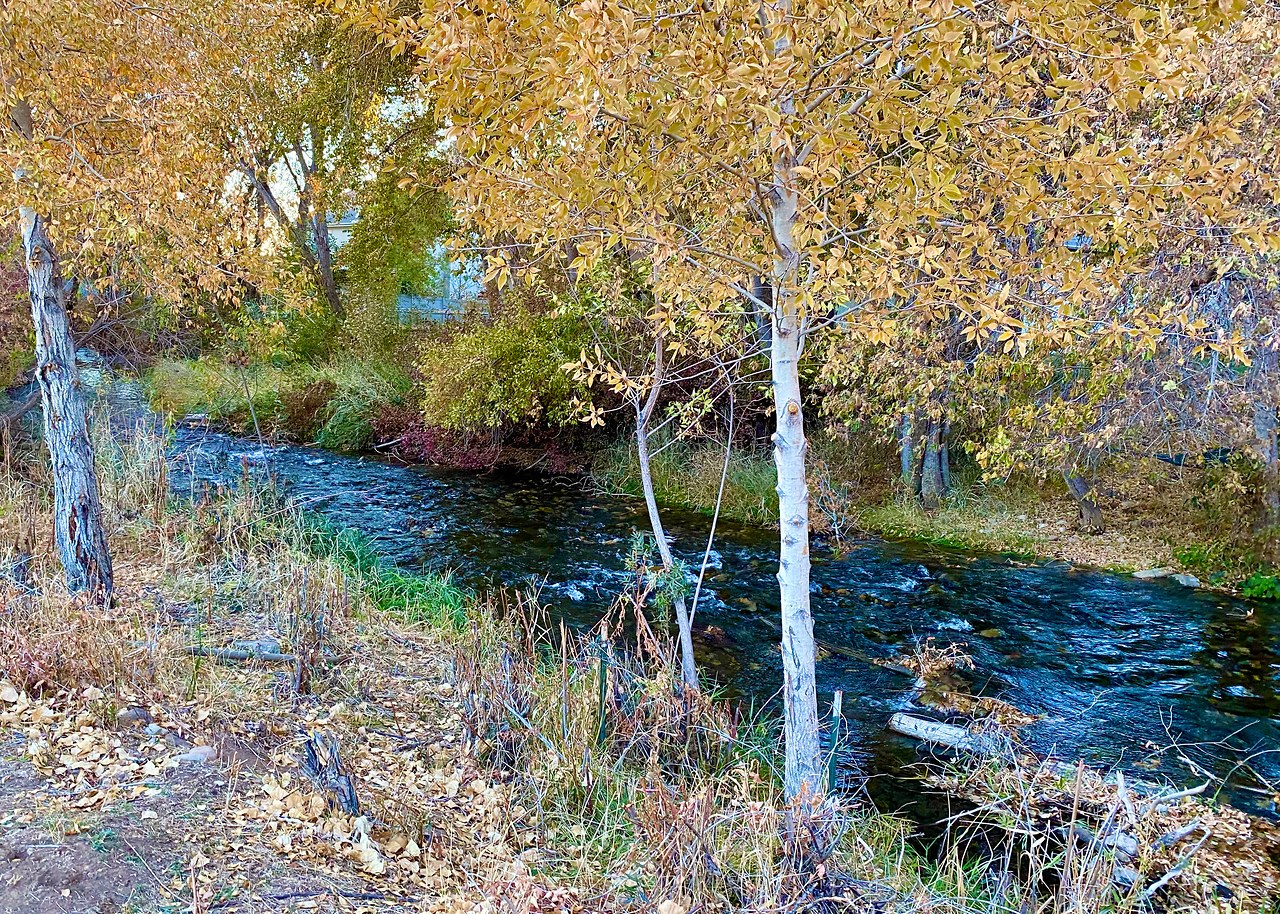 Hobble Creek flowing through the backyard of Mike Marshall's home in Mapleton Utah where the FeatherQuest idea began