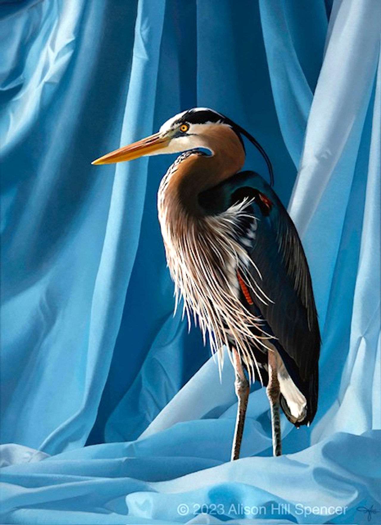 Great Blue Heron artwork by Alison Spencer Hill against flowing blue fabric