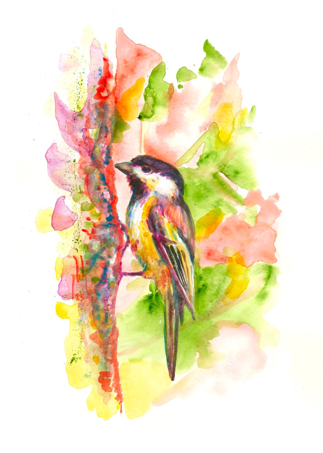 Colorful watercolor-style illustration of a Black-capped Chickadee by J. Brent Hill