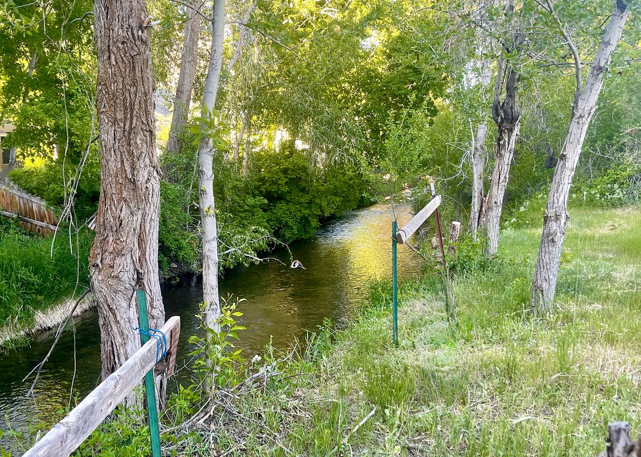 Backyard view looking toward Hobble Creek with open field and natural vegetation