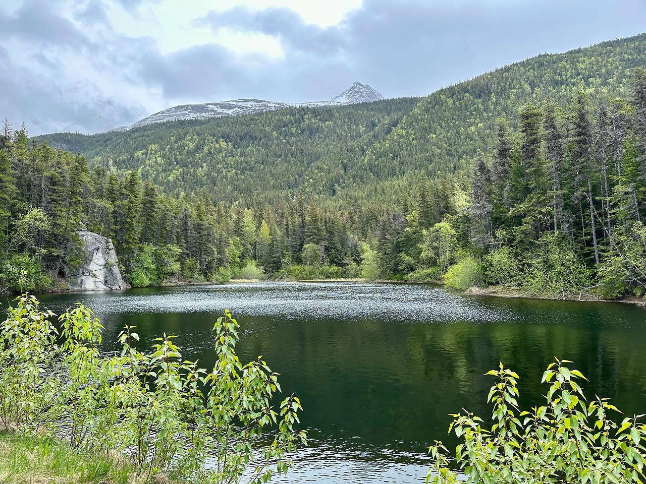 Calm alpine lake surrounded by dense forest and snow-dusted mountains in Alaska