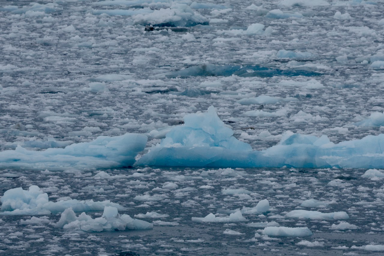 Blue glacier ice and floating chunks of ice in cold Alaskan water