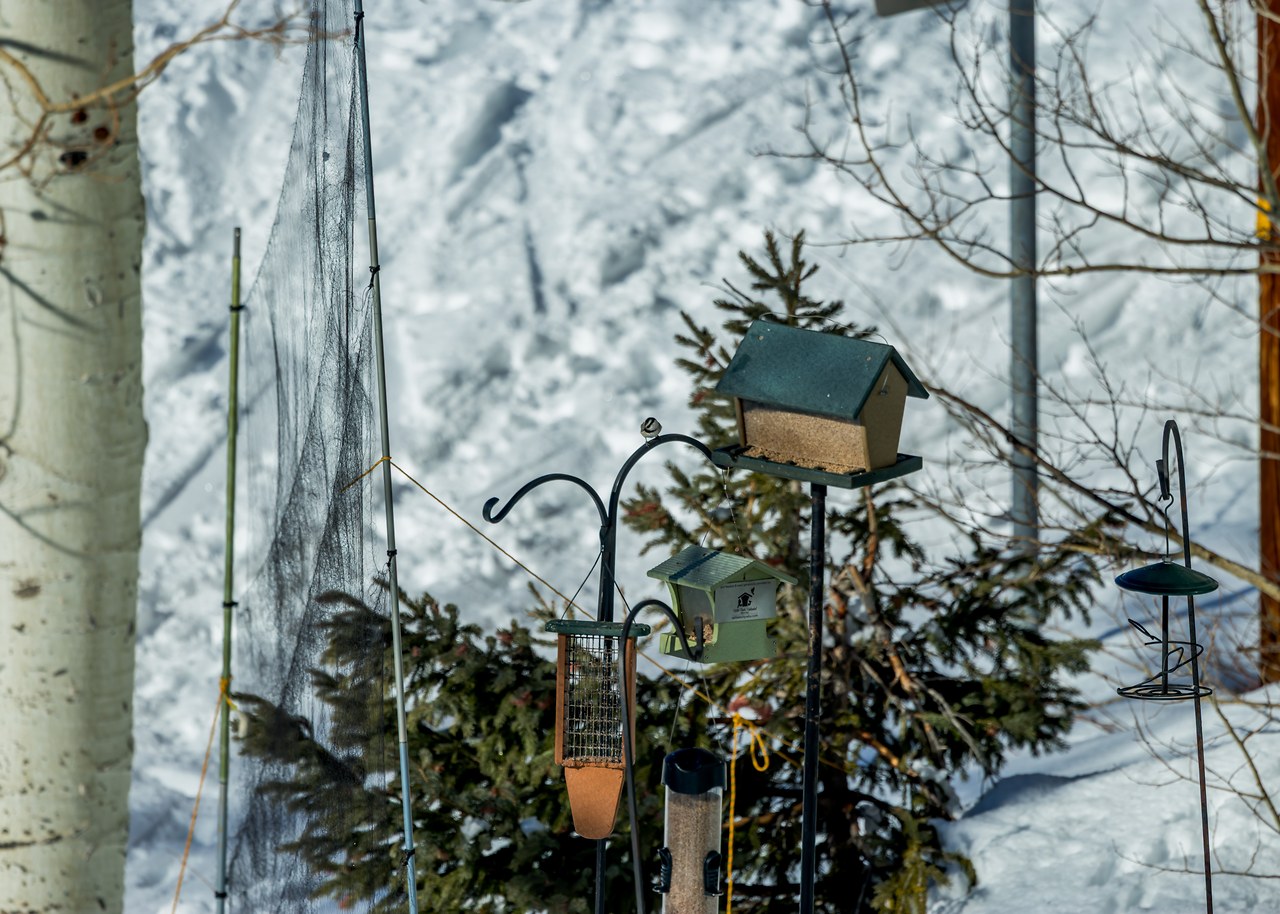 Banding station net setup near feeders at Alta