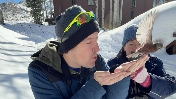 Mike releasing a Gray-crowned Rosy Finch during banding at Alta Ski Area in snowy alpine conditions