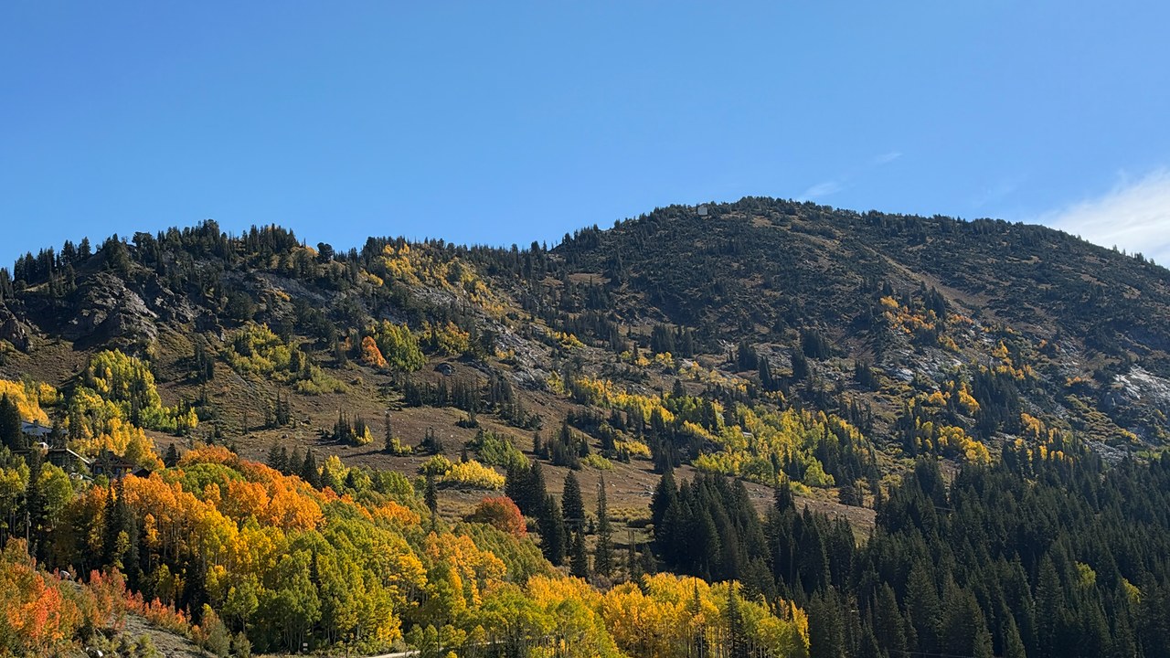 Autumn colors spreading across the mountain slopes at Alta, Utah