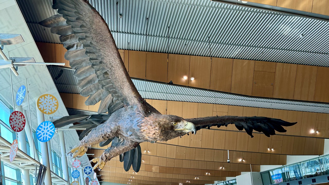 Giant eagle sculpture suspended inside Wellington Airport.