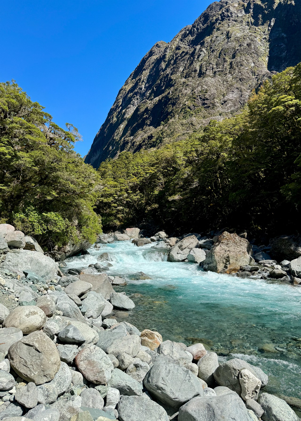 Clear blue river running through rocky Fiordland landscape on the drive out of Milford Sound