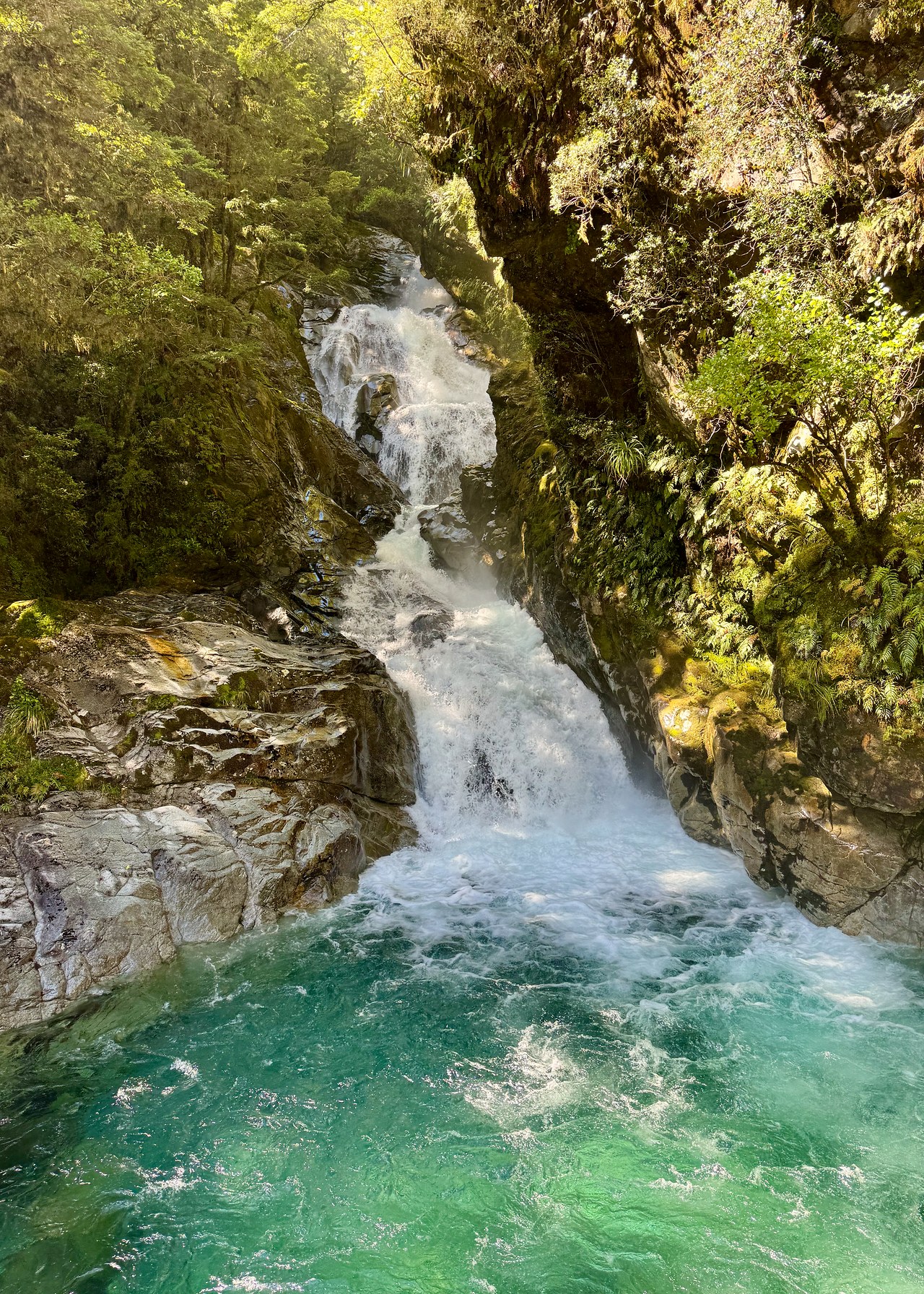 Waterfall and blue pool along a roadside stop in Fiordland