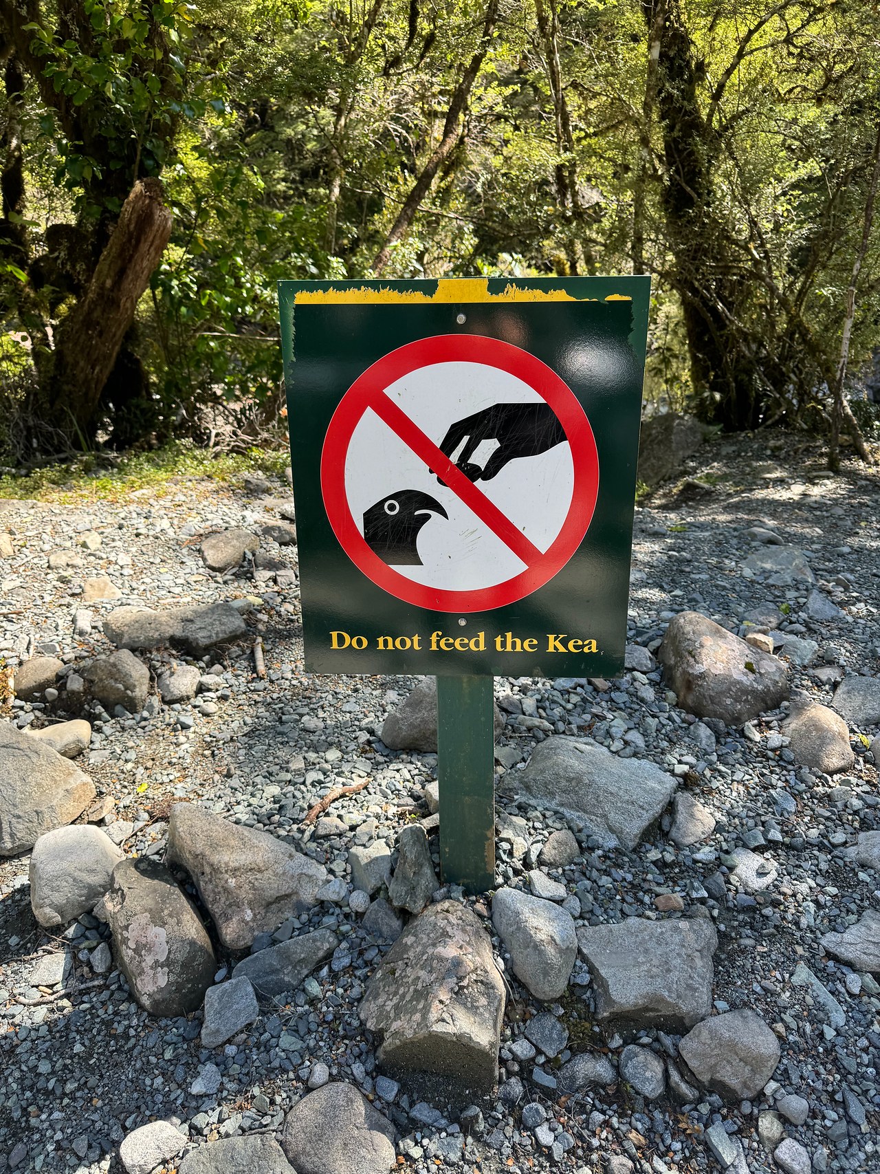 Sign warning visitors not to feed Kea in Fiordland National Park