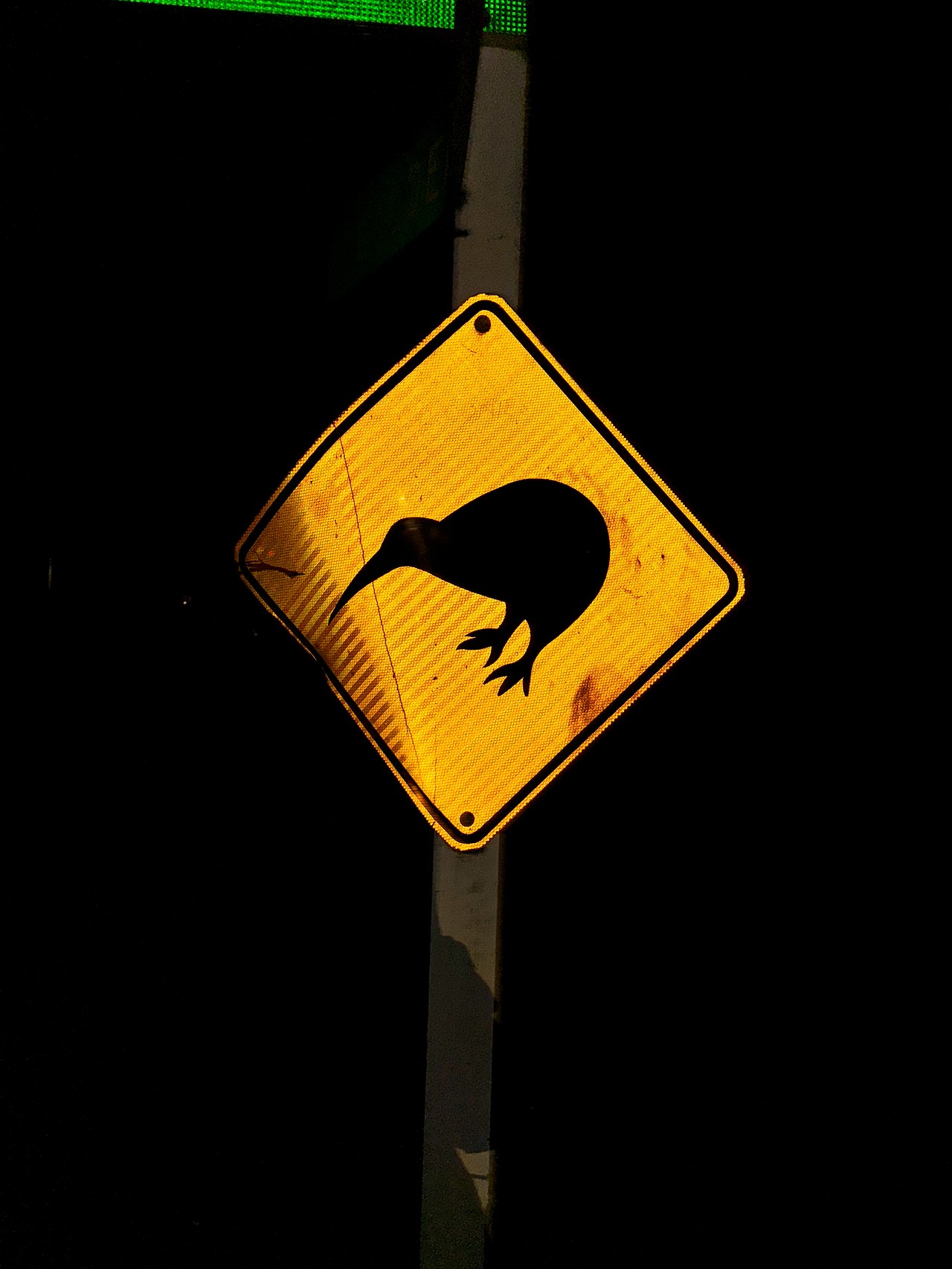 Kiwi crossing sign glowing at night on Stewart Island
