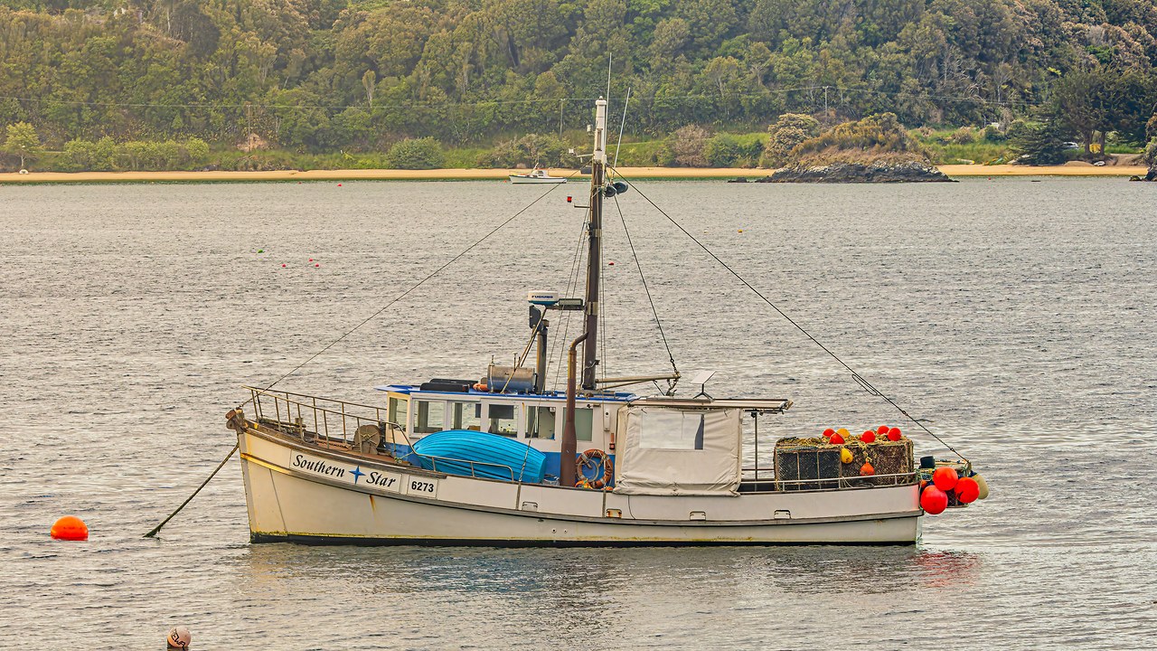 Small boat floating in the harbor near Stewart Island