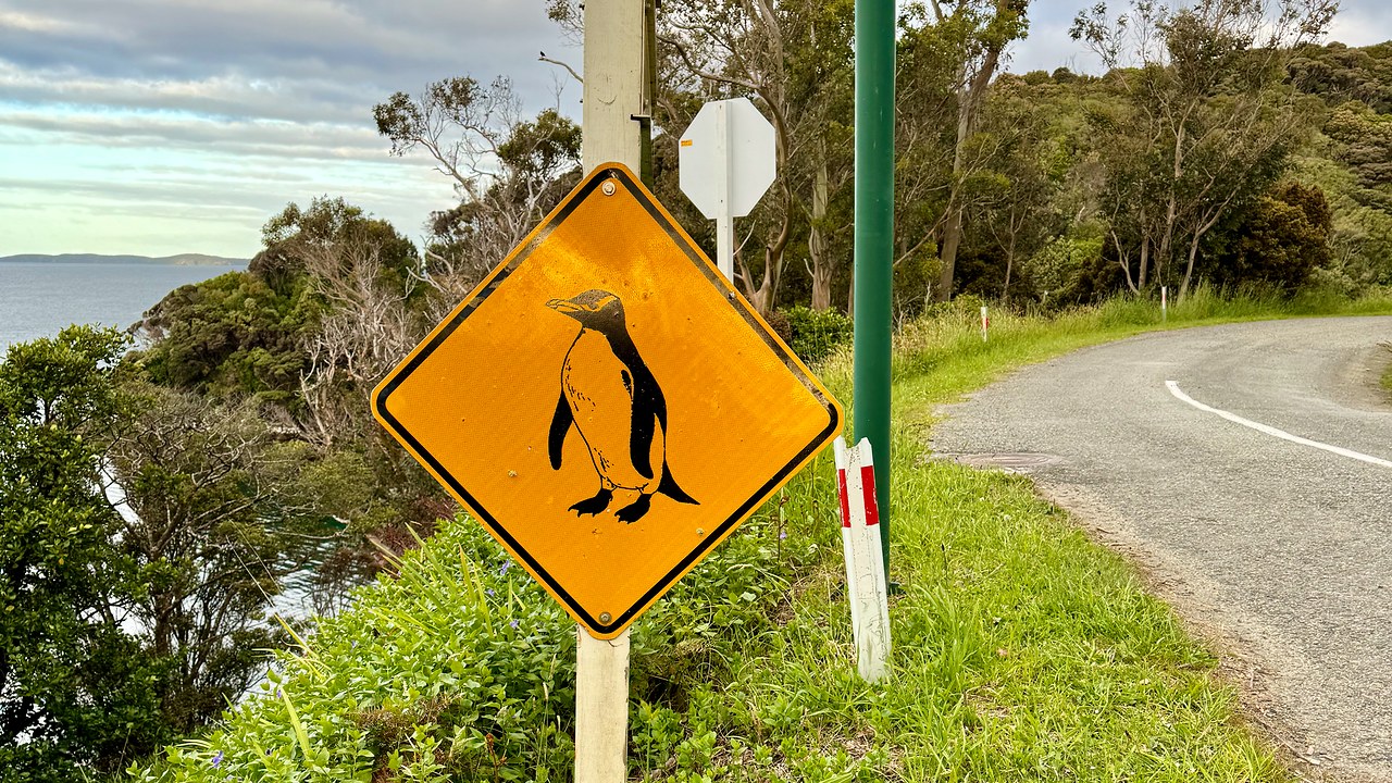 Penguin crossing sign beside a coastal road on Stewart Island, New Zealand
