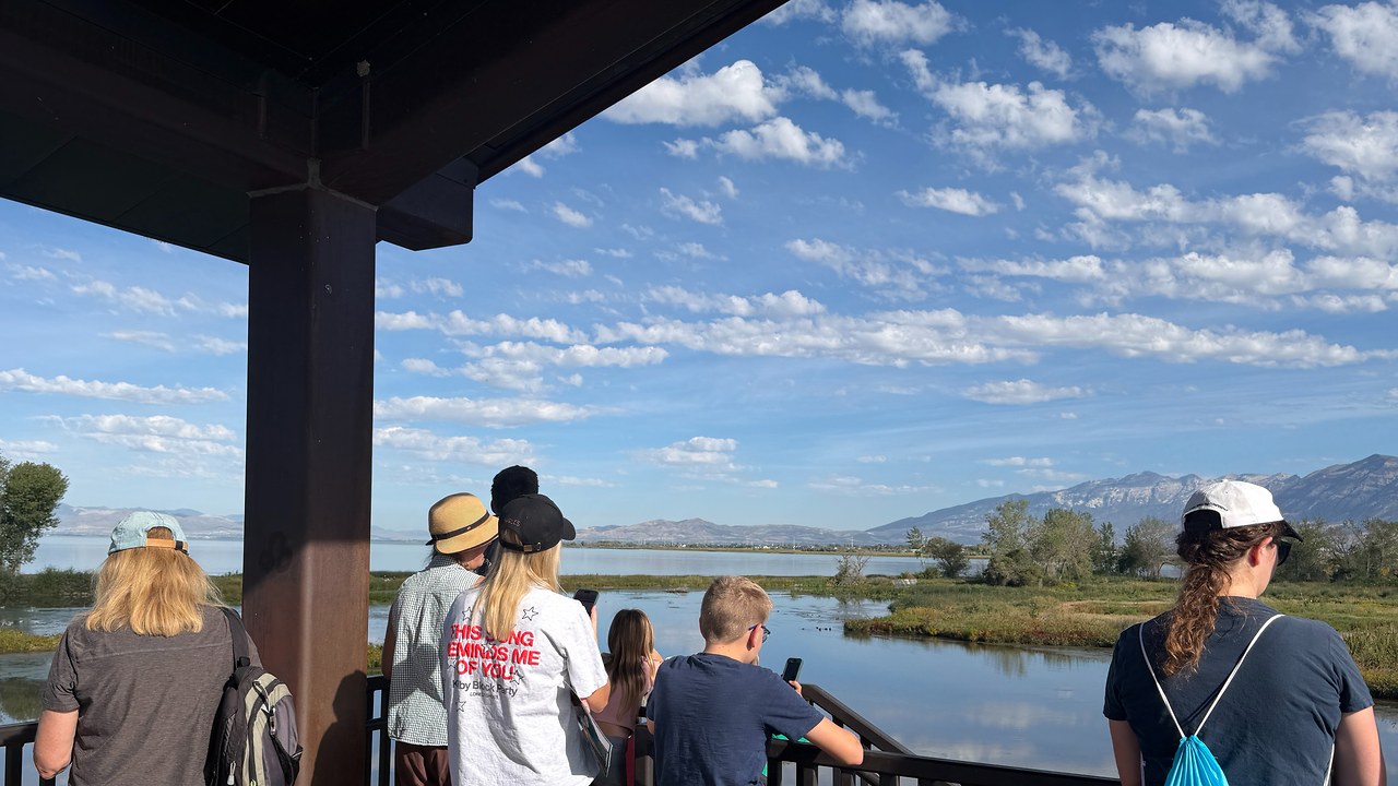 Provo Library field trip participants looking across the wetland from the Provo River Delta observation tower