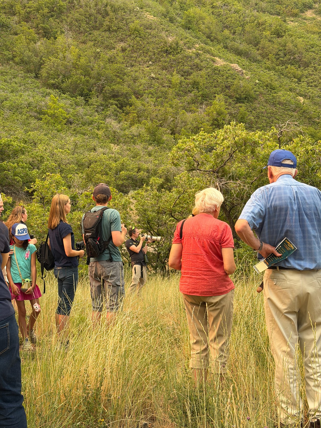 Field trip participants walking and birding together through the grass and oak brush along the Rock Canyon trail