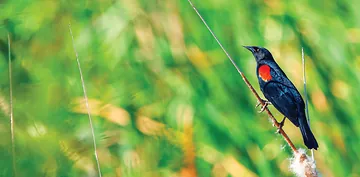 Provo River Delta field trip recap — July 11, 2025