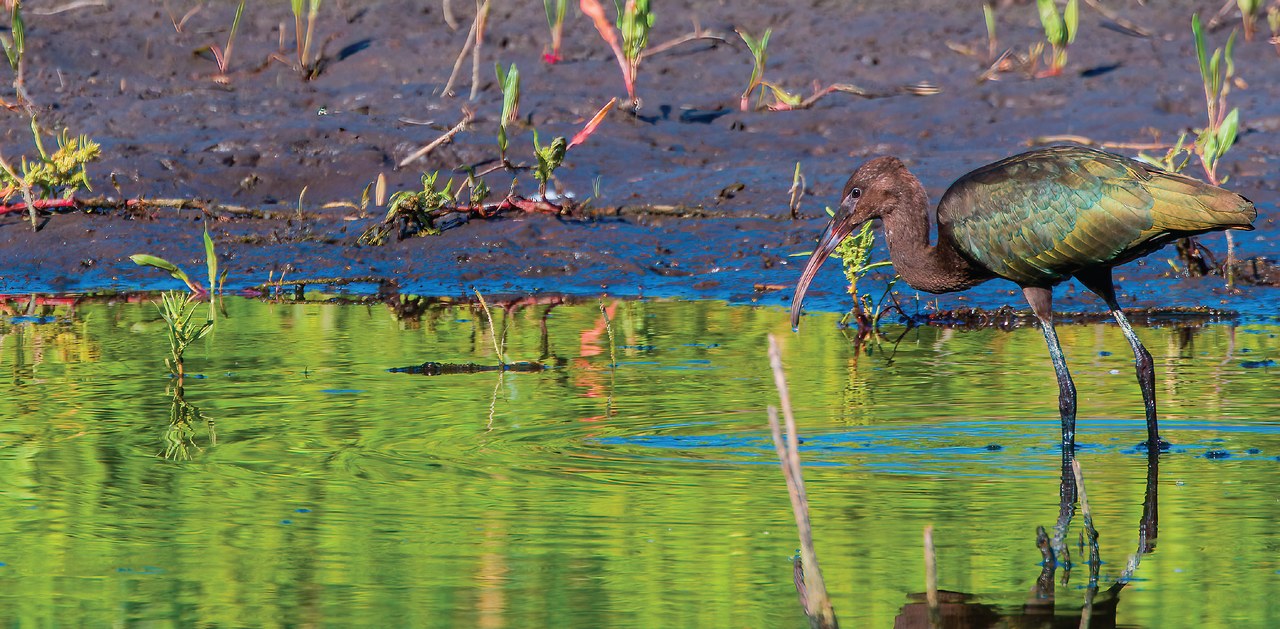 Provo River Delta field trip recap — July 12, 2025