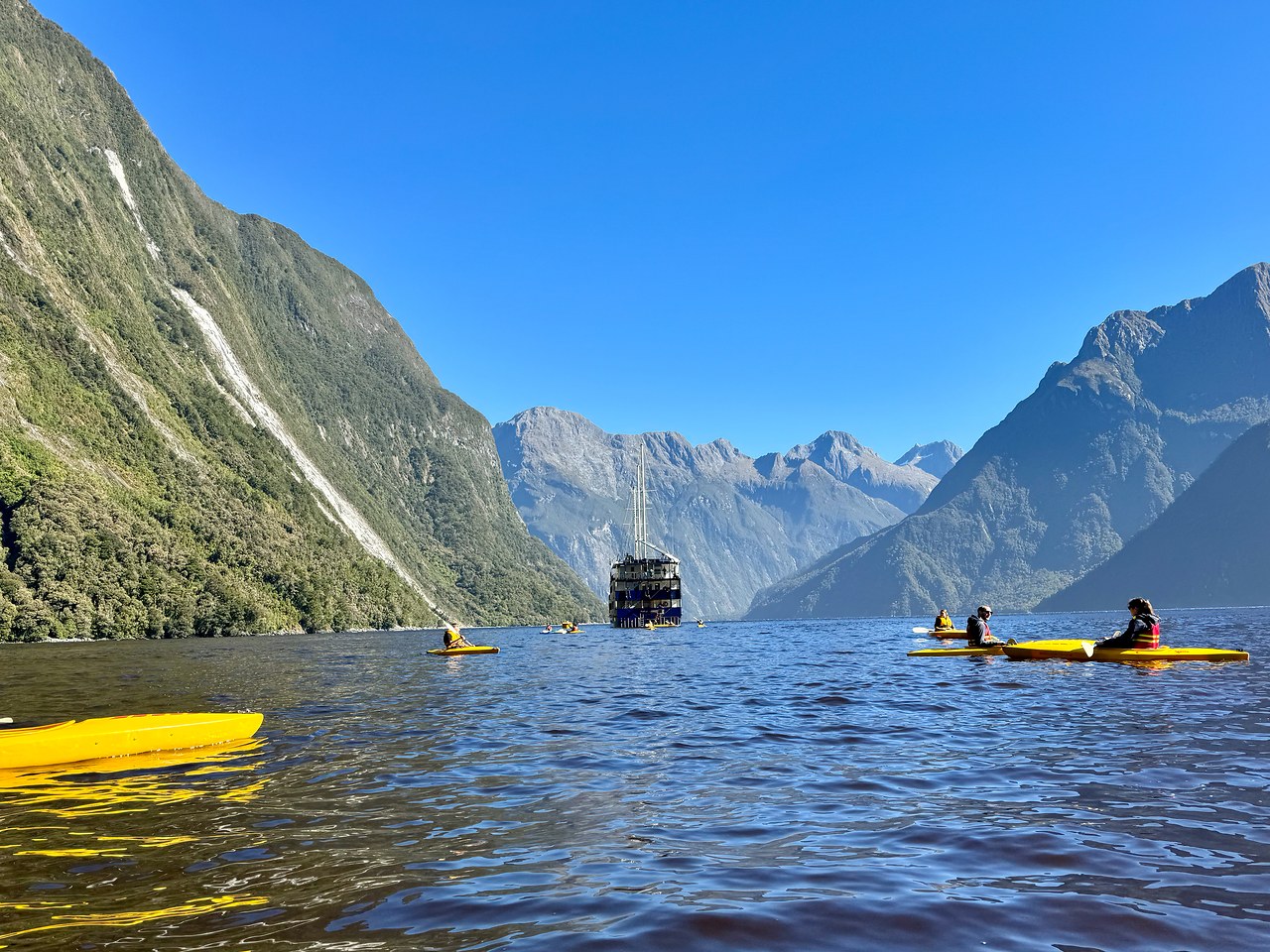 Kayaks floating beneath giant cliffs in Milford Sound