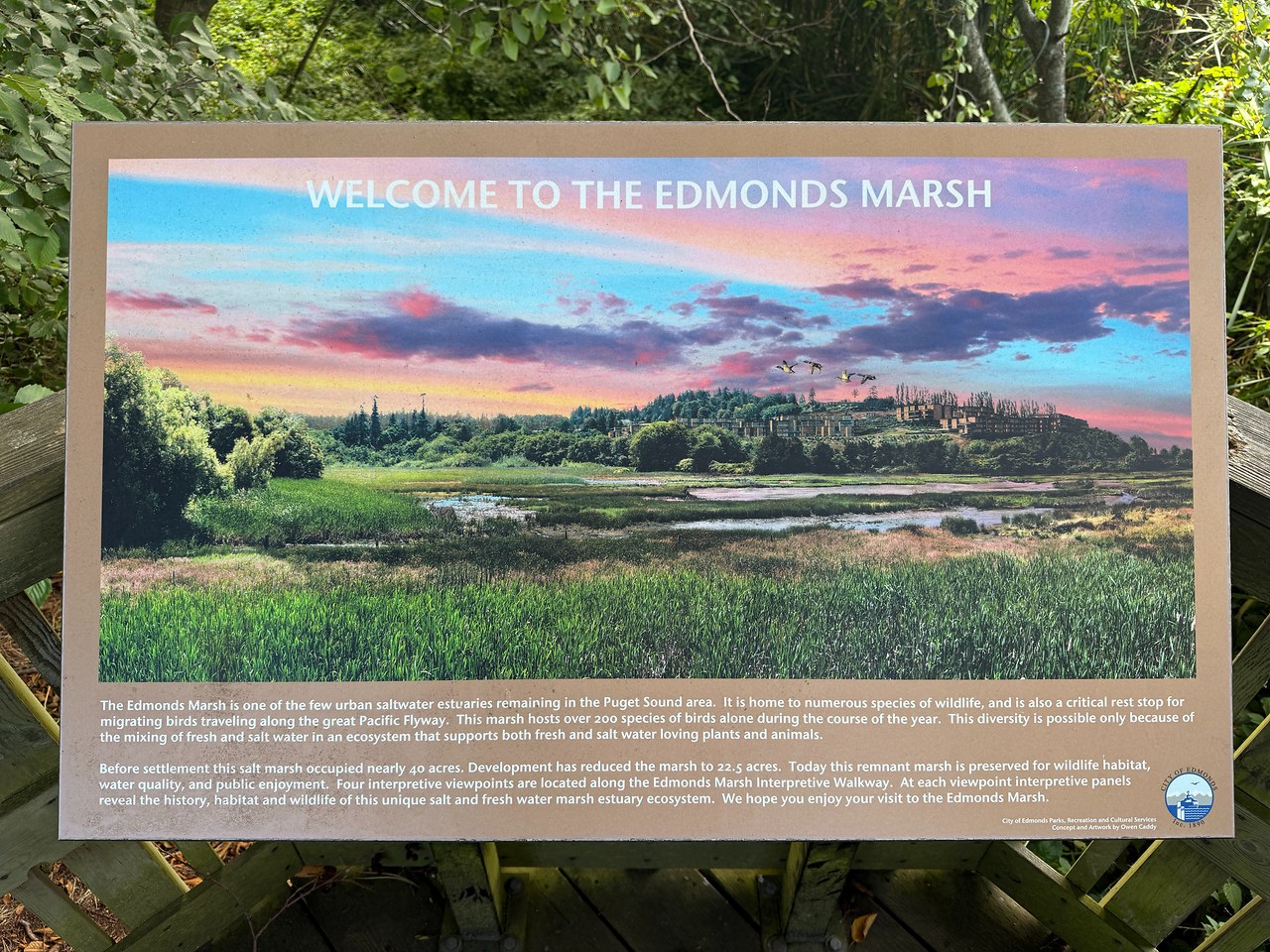Edmonds Marsh sign and trail area on a bright sunny day in Washington