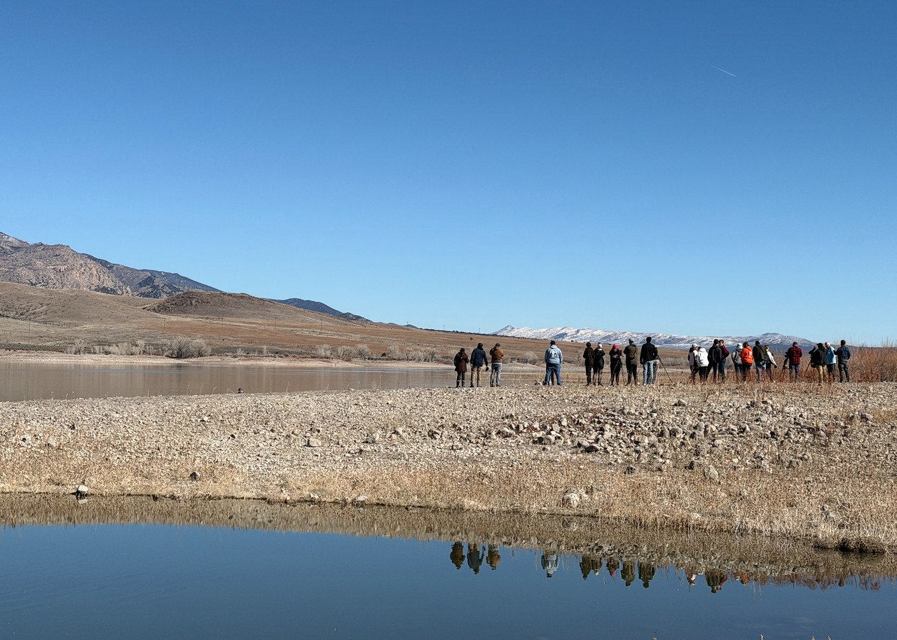 Utah County Birders spread out along the shoreline at Minersville Reservoir, scanning the water and distant shoreline under a wide southern Utah sky