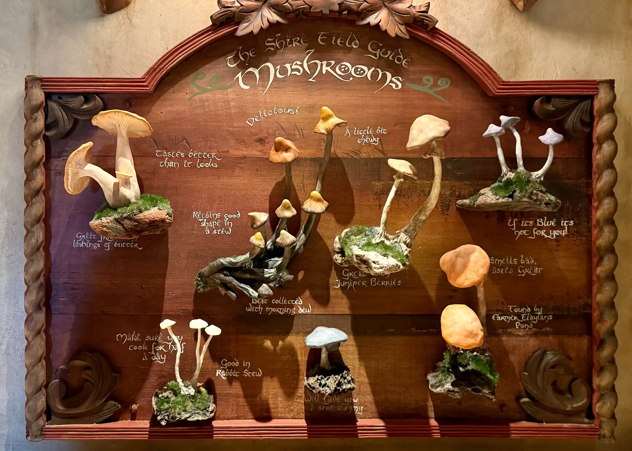 A whimsical mushroom display labeled 'The Shire Field Guide to Mushrooms' inside a furnished hobbit hole at the Hobbiton Movie Set in New Zealand.