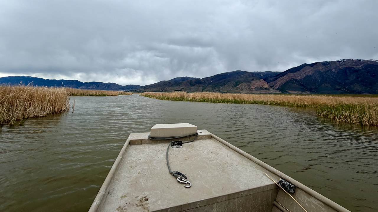 View from a small marsh boat moving through open water channels surrounded by reeds