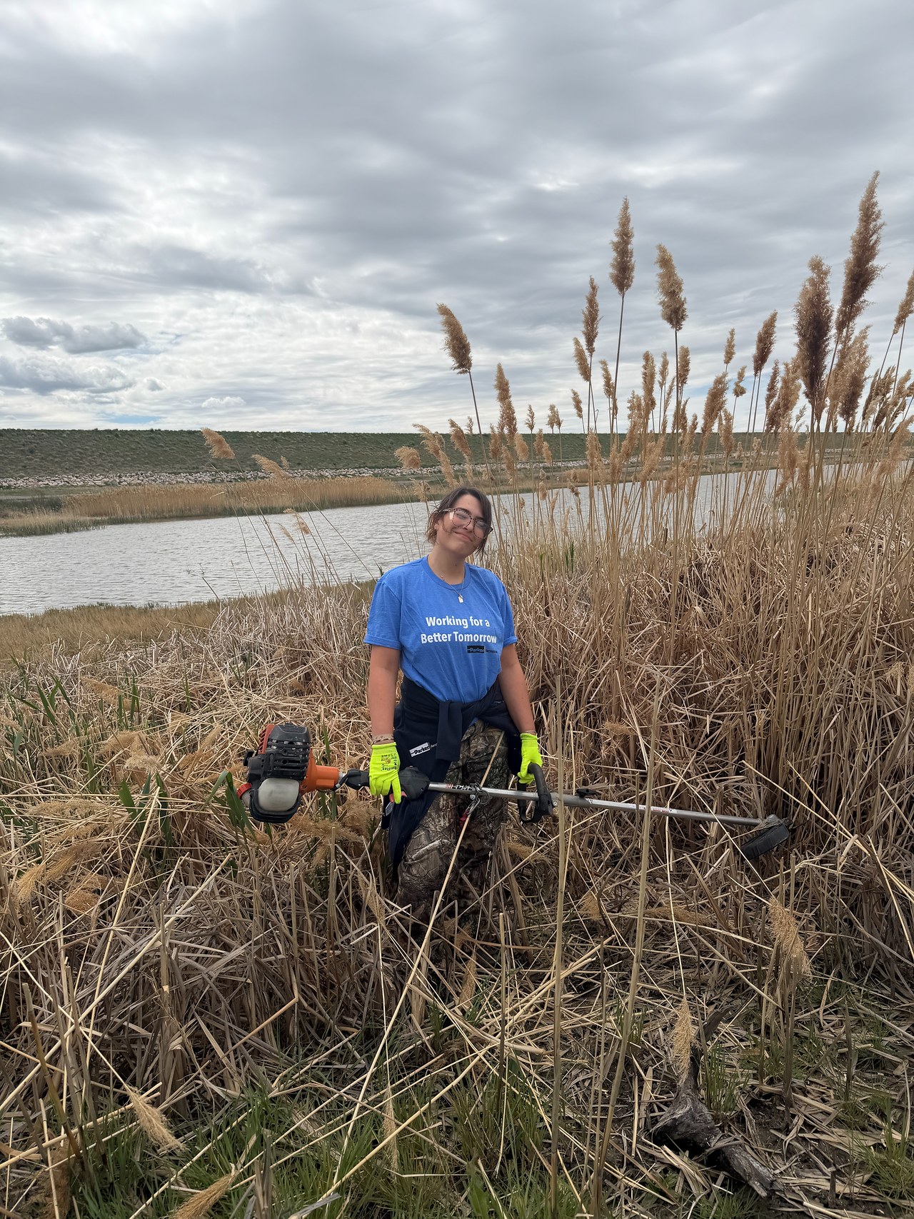 Parker Hannifin volunteer standing in tall phragmites with a brush cutter during a Willard Bay wetland restoration workday