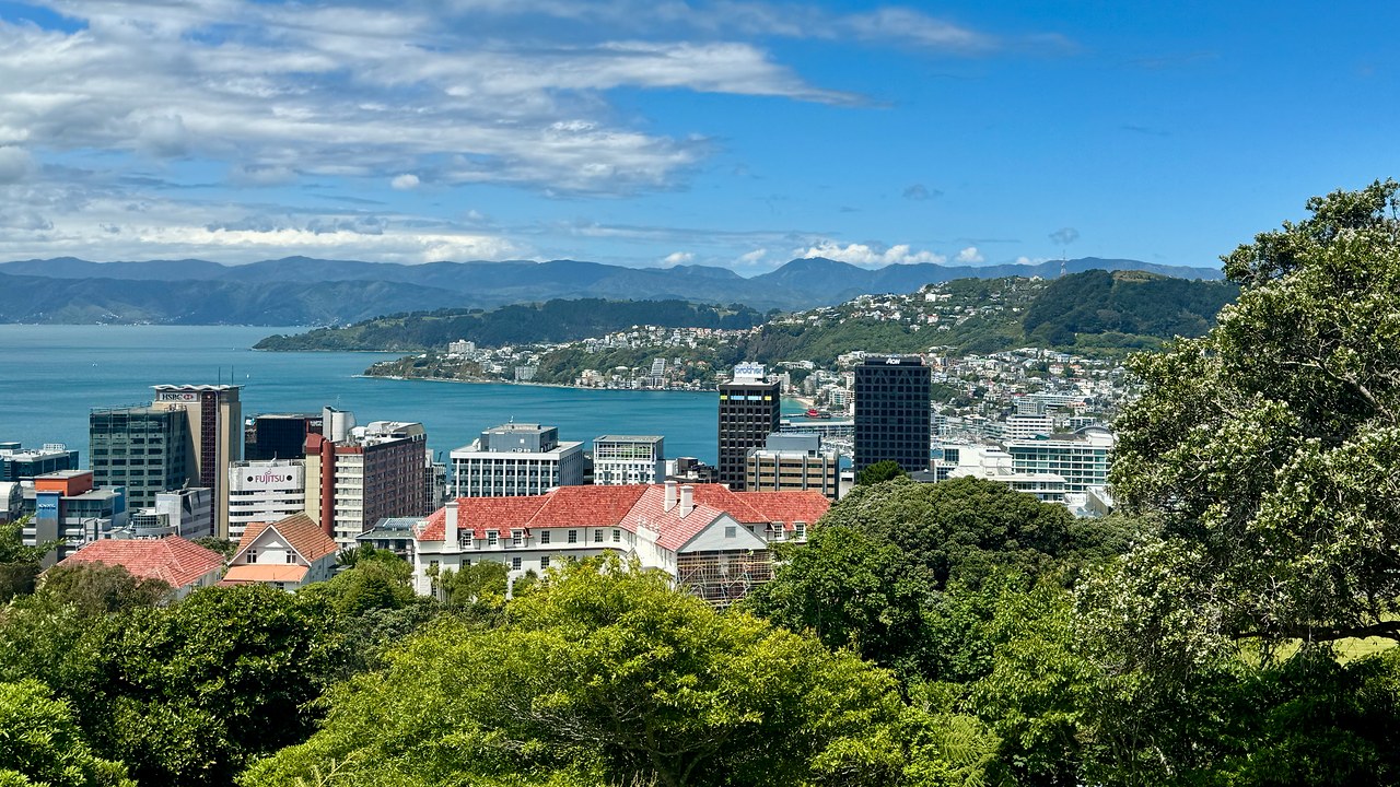 A sunny view across Wellington and the harbor from the Wellington Botanic Garden in New Zealand.