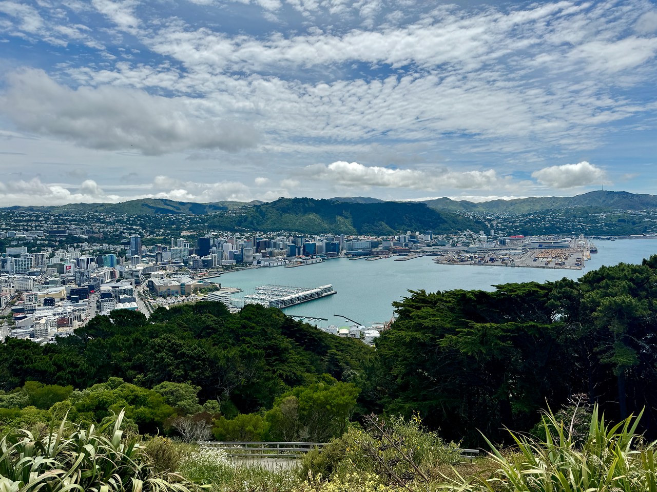 Wide view of Wellington and the harbor from Mount Victoria Lookout.