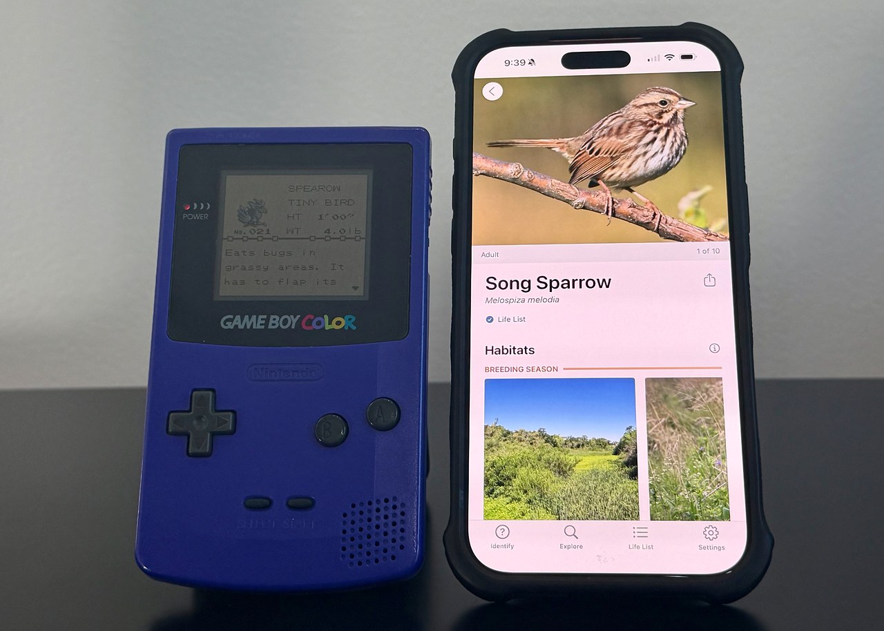 A Nintendo Game Boy displaying a Spearow pokémon entry beside a smartphone running Merlin Bird ID showing a real Song Sparrow