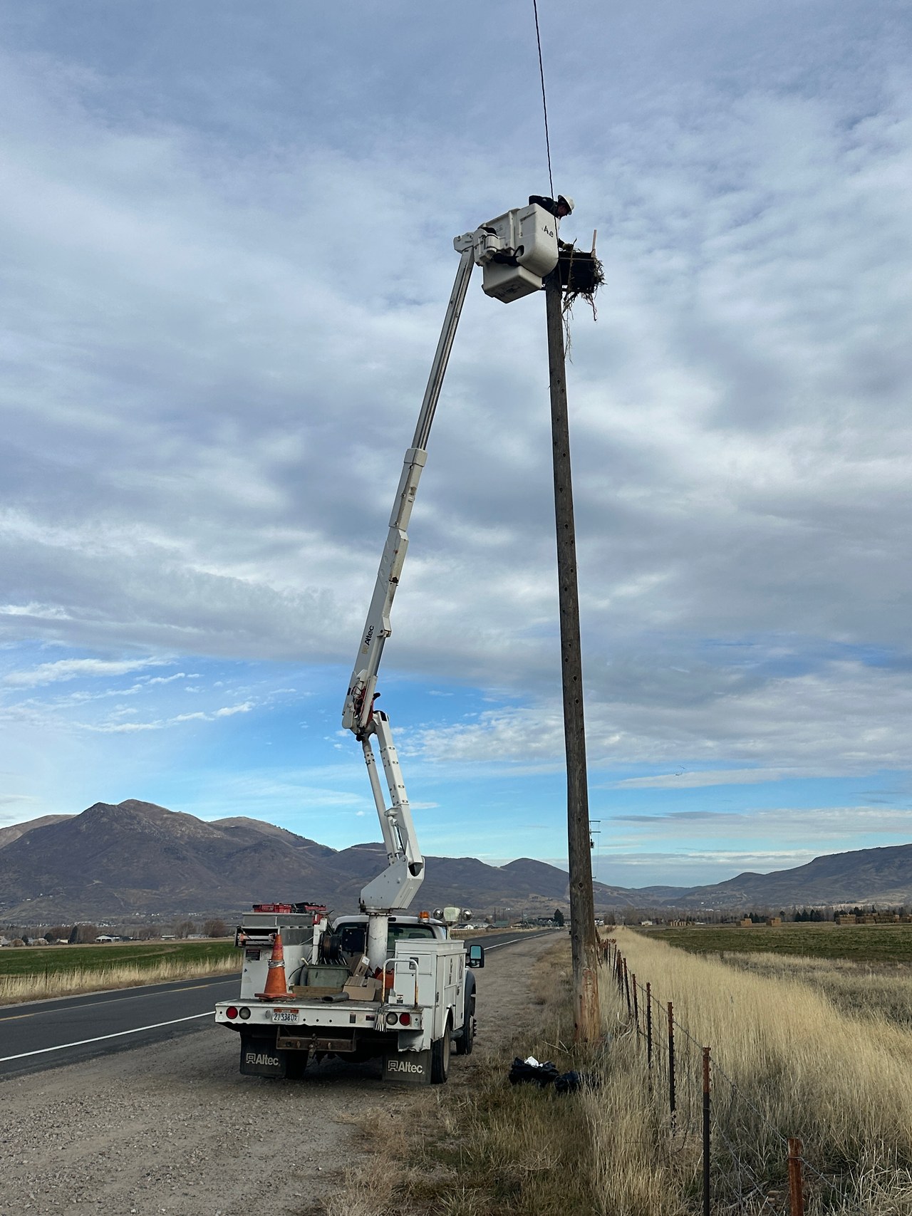 Bucket truck being used to access an osprey nesting platform